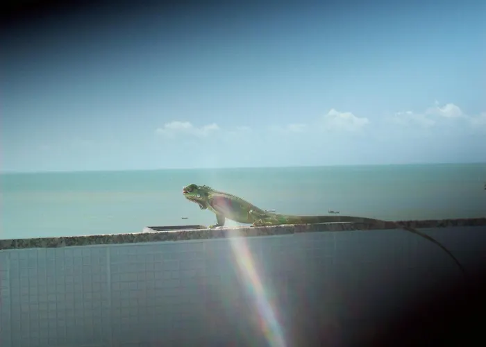 Hotel Pousada Estacao Do Sol Natal
