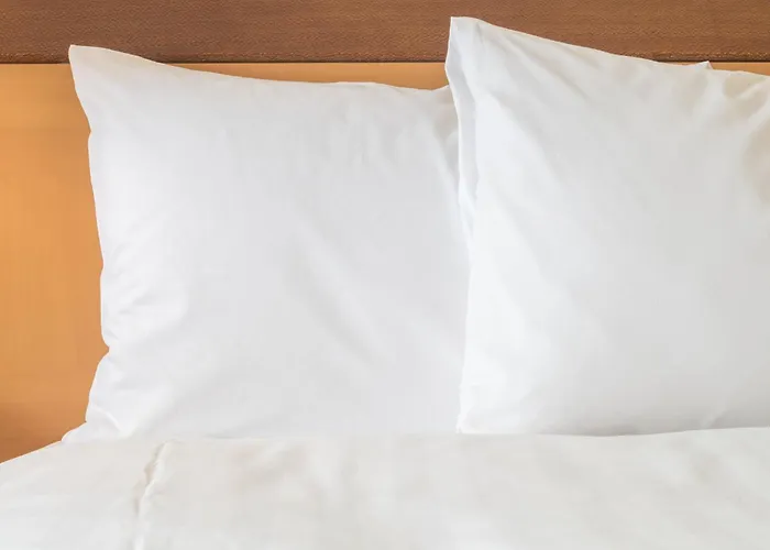 Holiday Inn Nanjing Xuanwu Lake By Ihg
