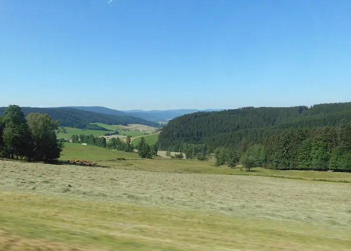 Schwarzwaldgasthaus Salenhof