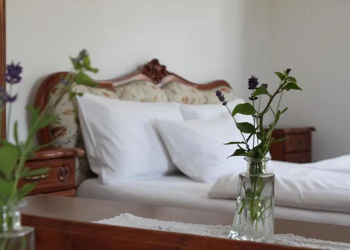 Hotel Viktoria